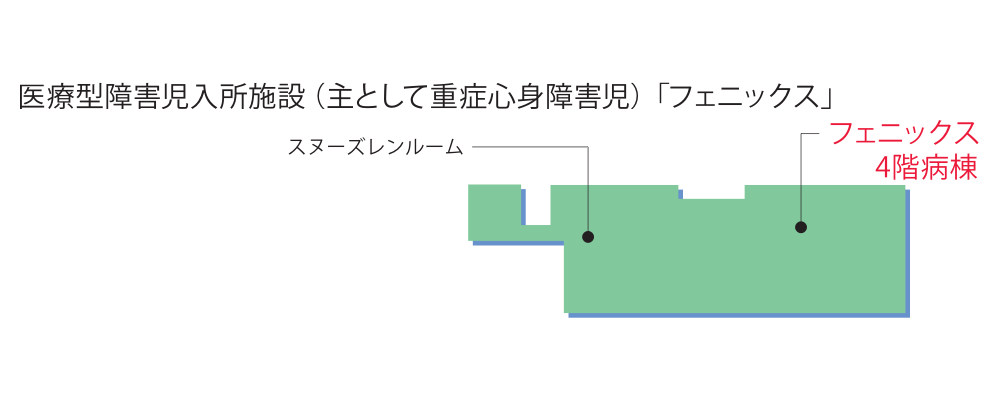 医療型障害児入所施設（主として重症心身障害児）「フェニックス」